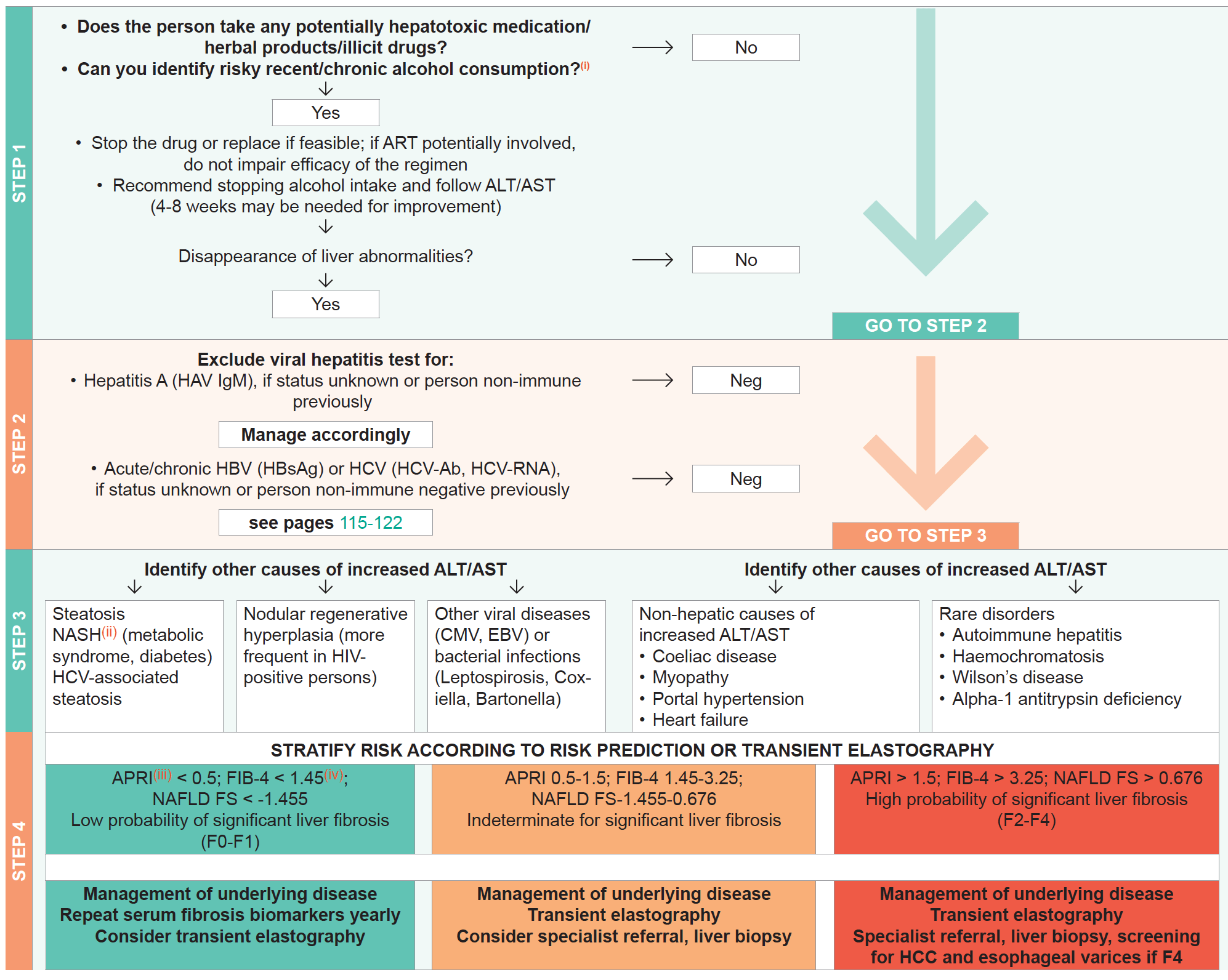 What Causes An Increase In Ast And Alt