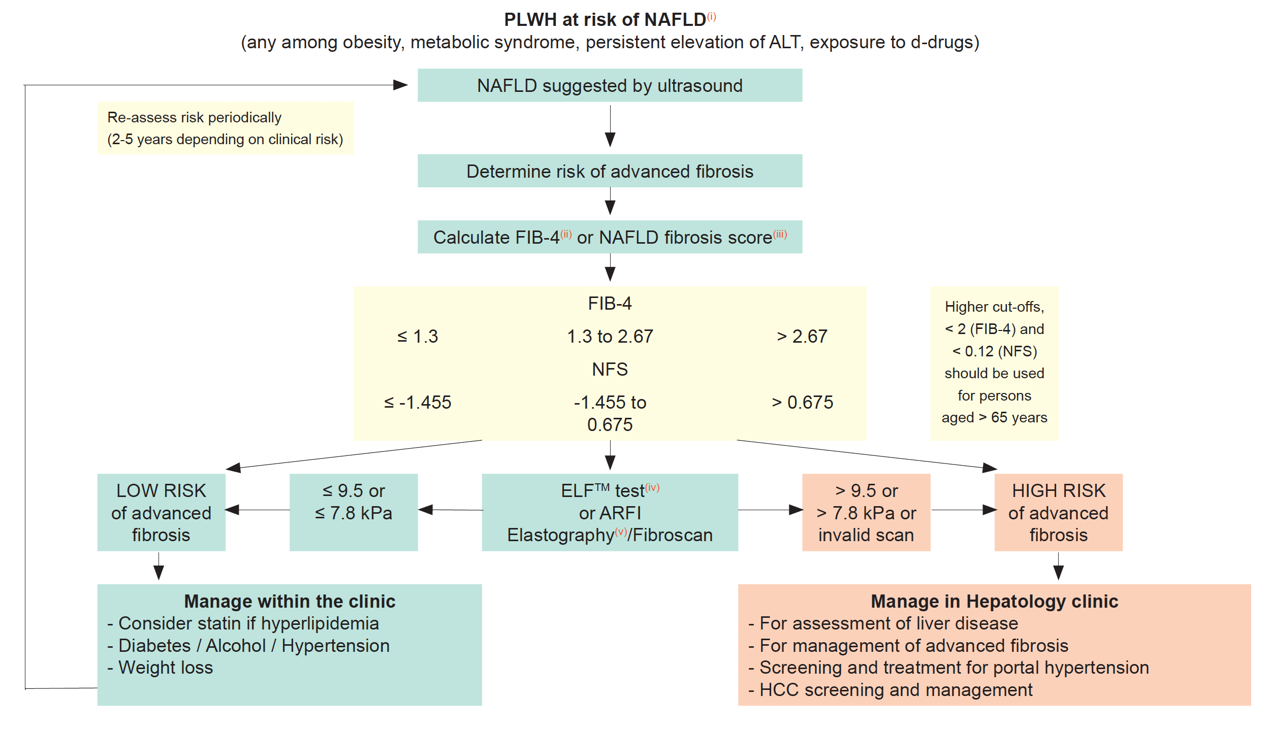 Non-Alcoholic Fatty Liver Disease (NAFLD) Flow Chart Algorithm 2021