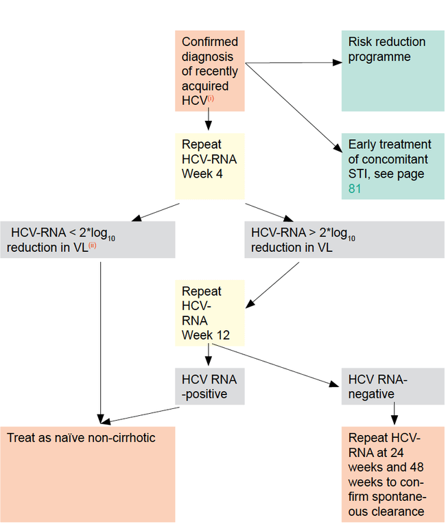 Algorithm for Management of Recently Acquired HCV Infection in PLWH 2019