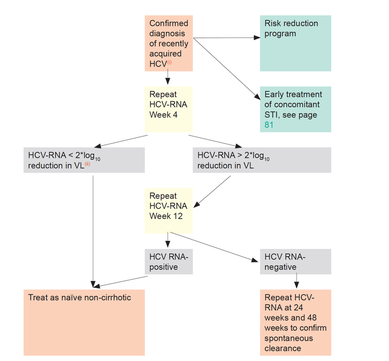 Recently Acquired HCV Infection Algorithm Image 2020