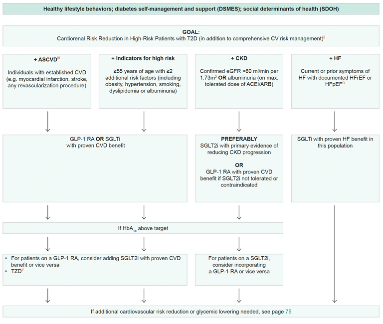 Use of Glucose-Lowering Medications in the Management of Type 2 Diabetes Algorithm Image 2023