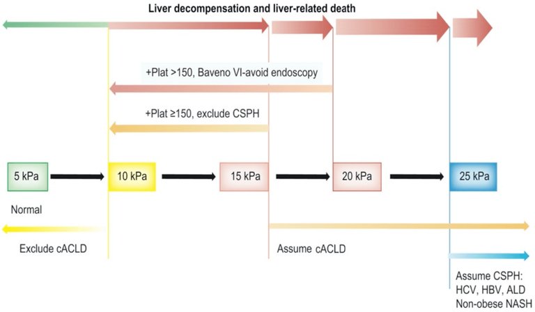 Liver decompensation and liver-related death.png