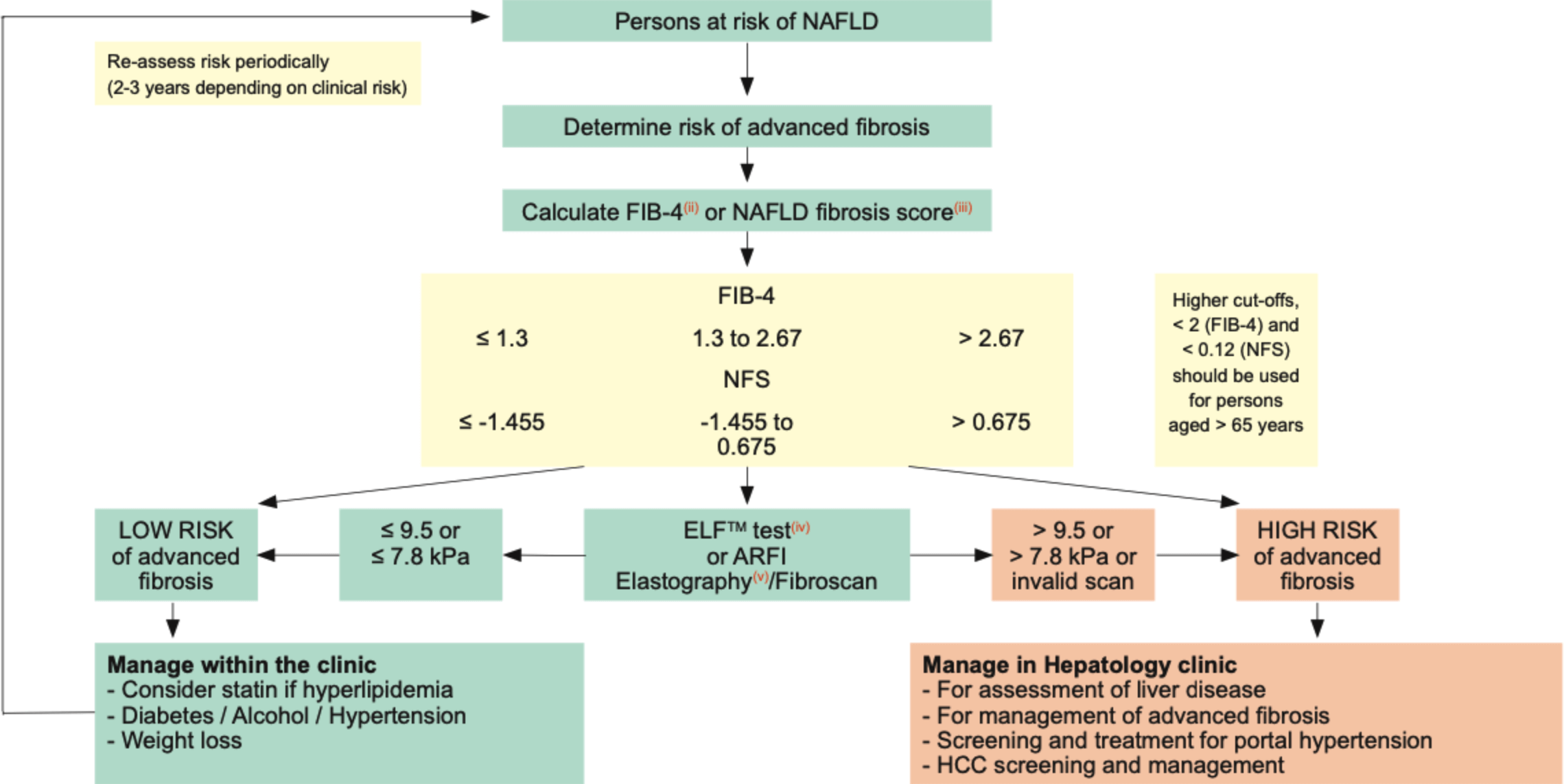 Non-Alcoholic Fatty Liver Disease (NAFLD).png