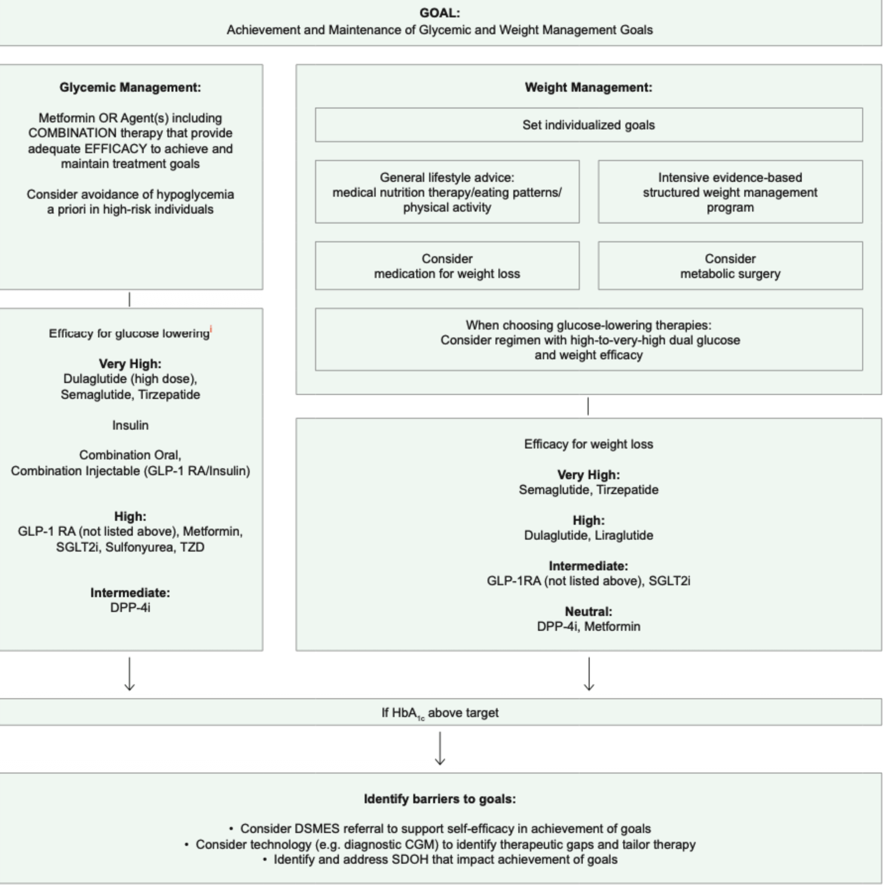 Type 2 Diabetes_ Management (suite).png