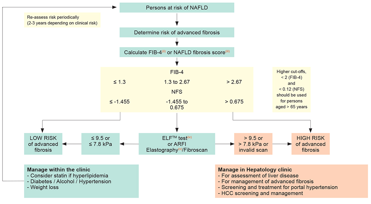 EACS 12.1_p91_diagnostic MASLD