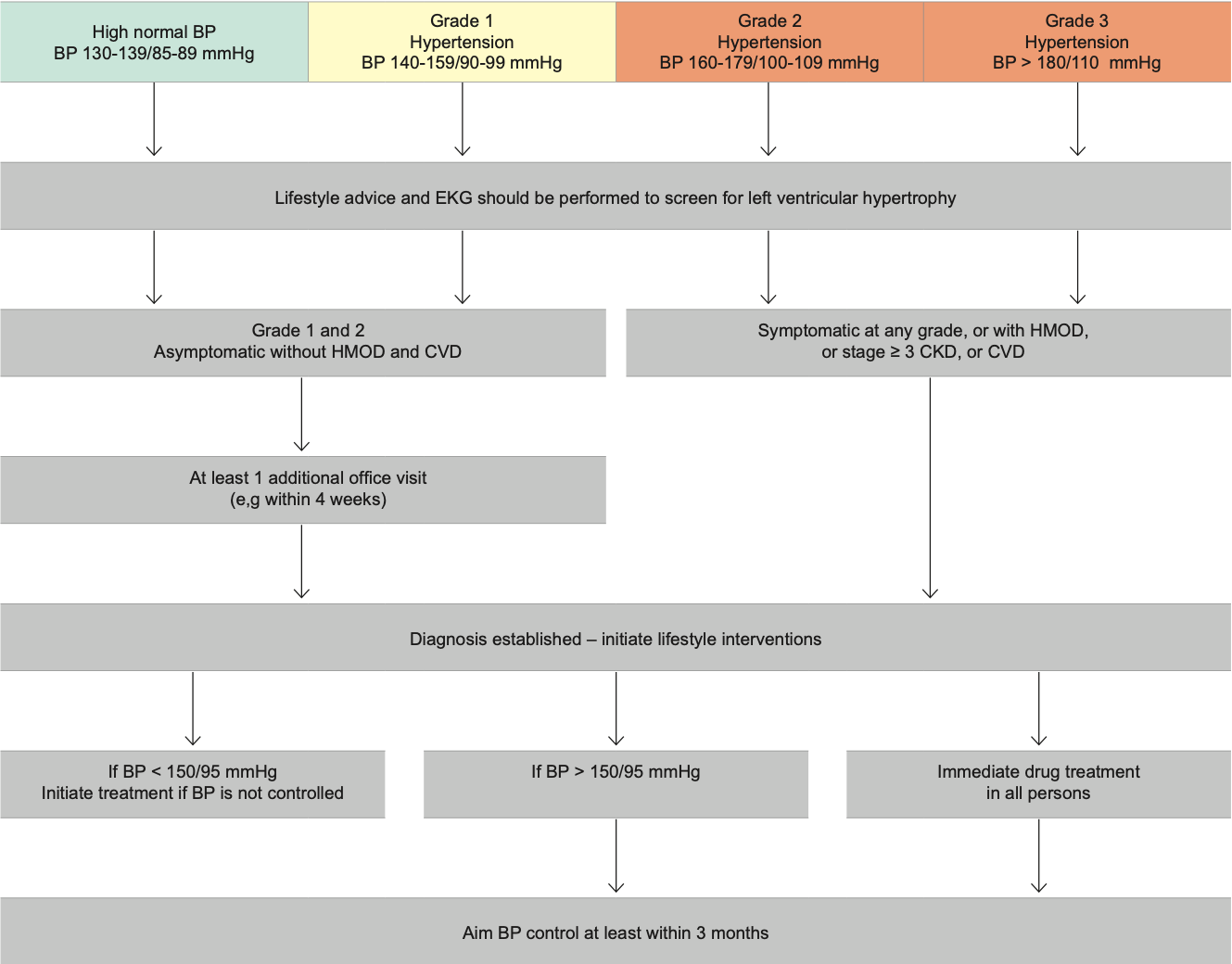 Hypertension Diagnosis, Grading and Management .png