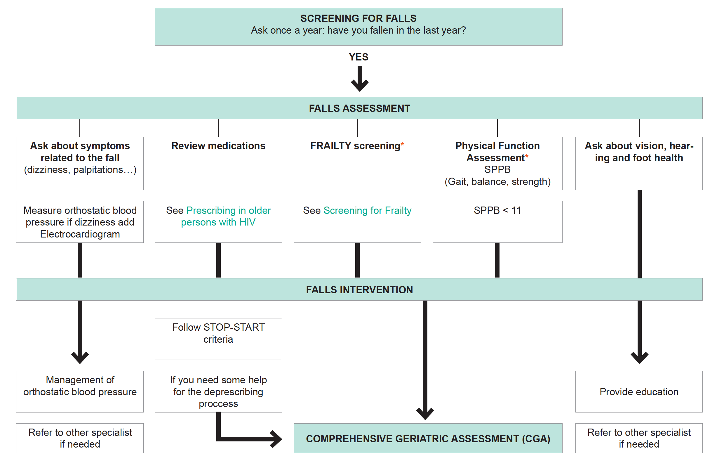 Screening for Falls Algorithm 2022