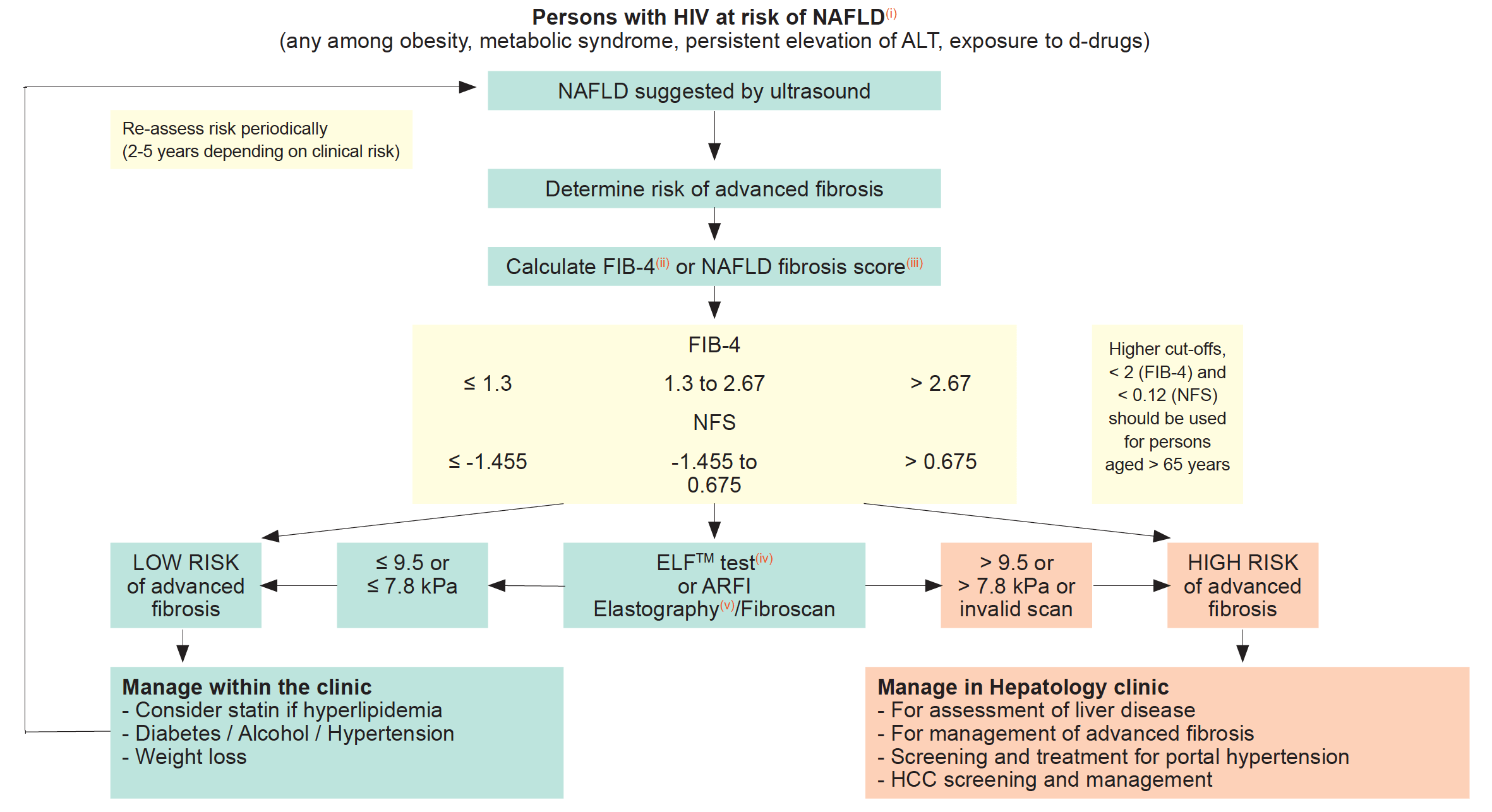 Non-Alcoholic Fatty Liver Disease (NAFLD) Flow Chart Algorithm 2022